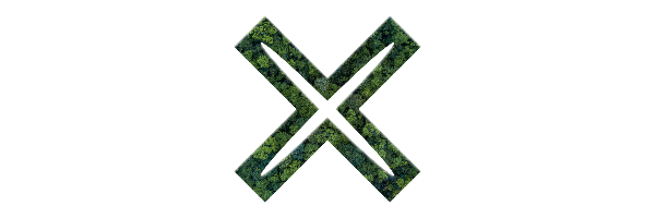 Jeux d'Hiver logo